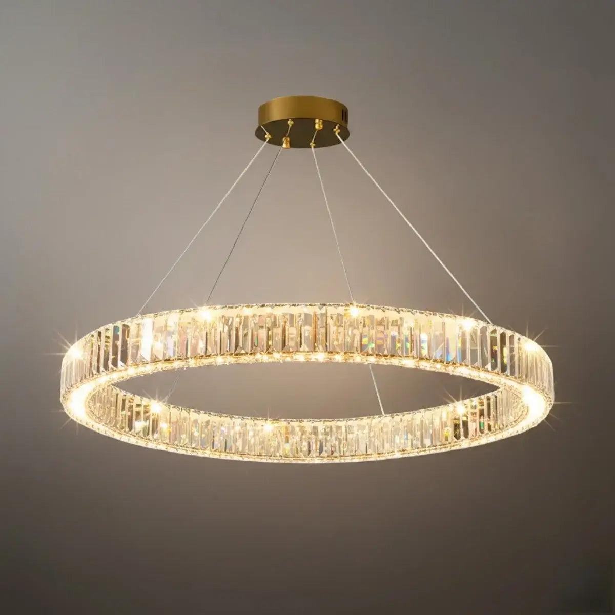 Modern Interlaced Ring Pendant Light